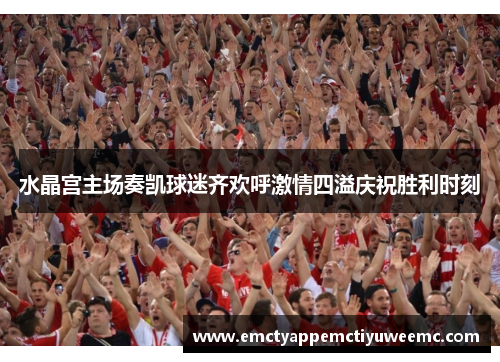 水晶宫主场奏凯球迷齐欢呼激情四溢庆祝胜利时刻
