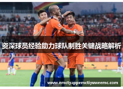 资深球员经验助力球队制胜关键战略解析