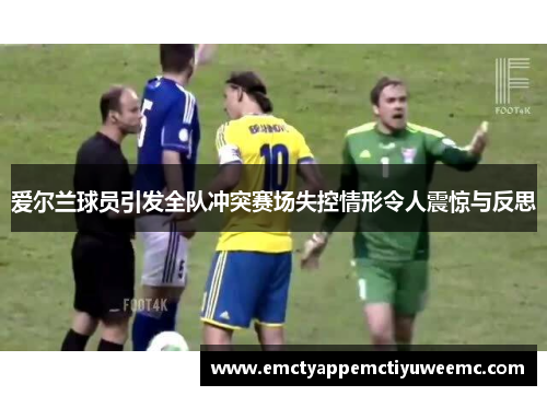 爱尔兰球员引发全队冲突赛场失控情形令人震惊与反思