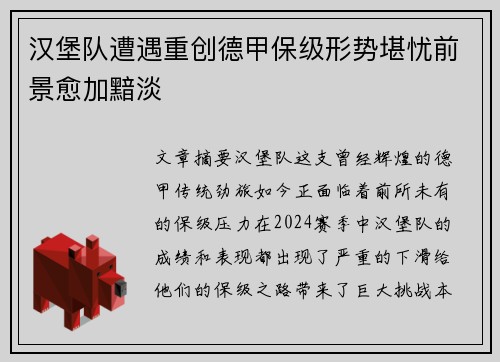 汉堡队遭遇重创德甲保级形势堪忧前景愈加黯淡